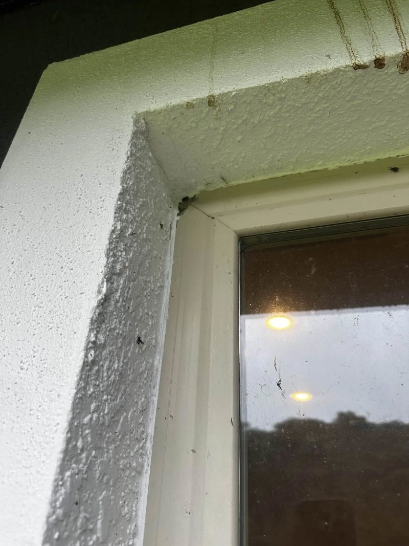 Window Leak Repair services in Austin, Texas